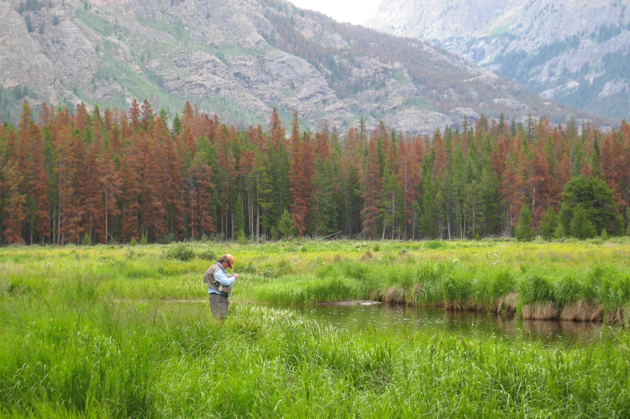 Fly fishing