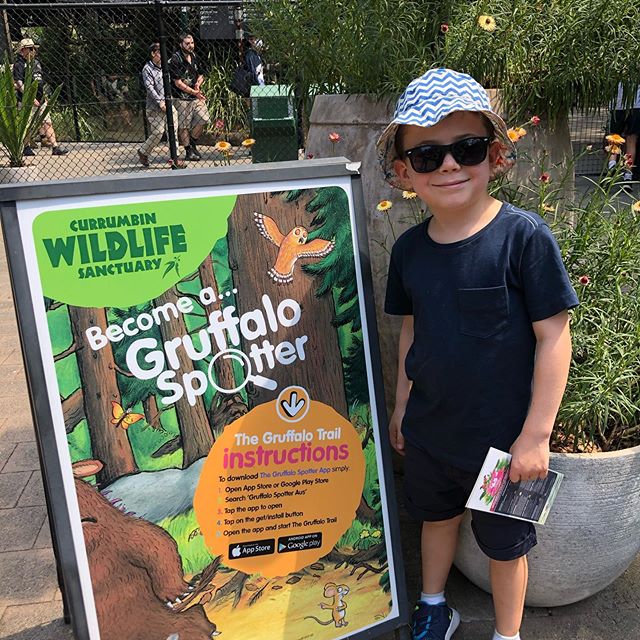 Best family adventure on the Gold Coast was @currumbinsanctuary we loved it! #gruffalospotter #holidayswithkids #lotusbayyogaadventures @amyariel @oliverw #maxotto