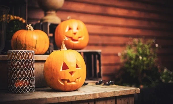 Trick, Treat, Bless or Hide?