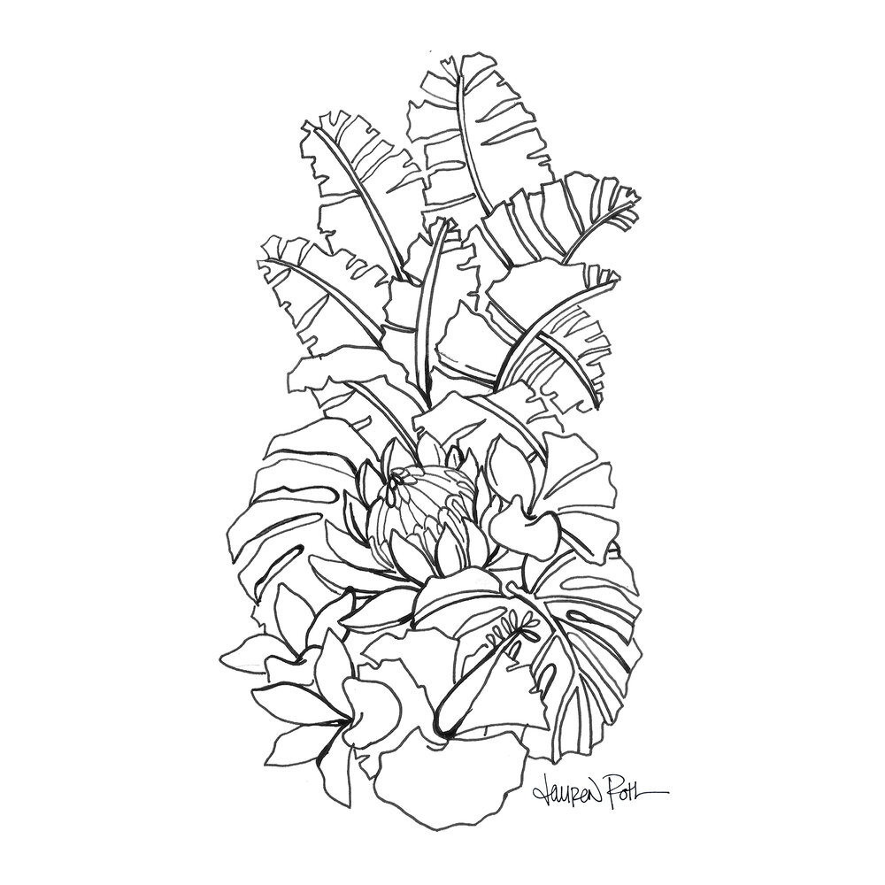 Protea Pineapple FREE Coloring Page — Lauren Roth Art