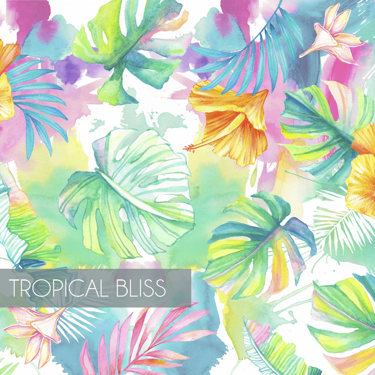 Tropicalbliss.jpg