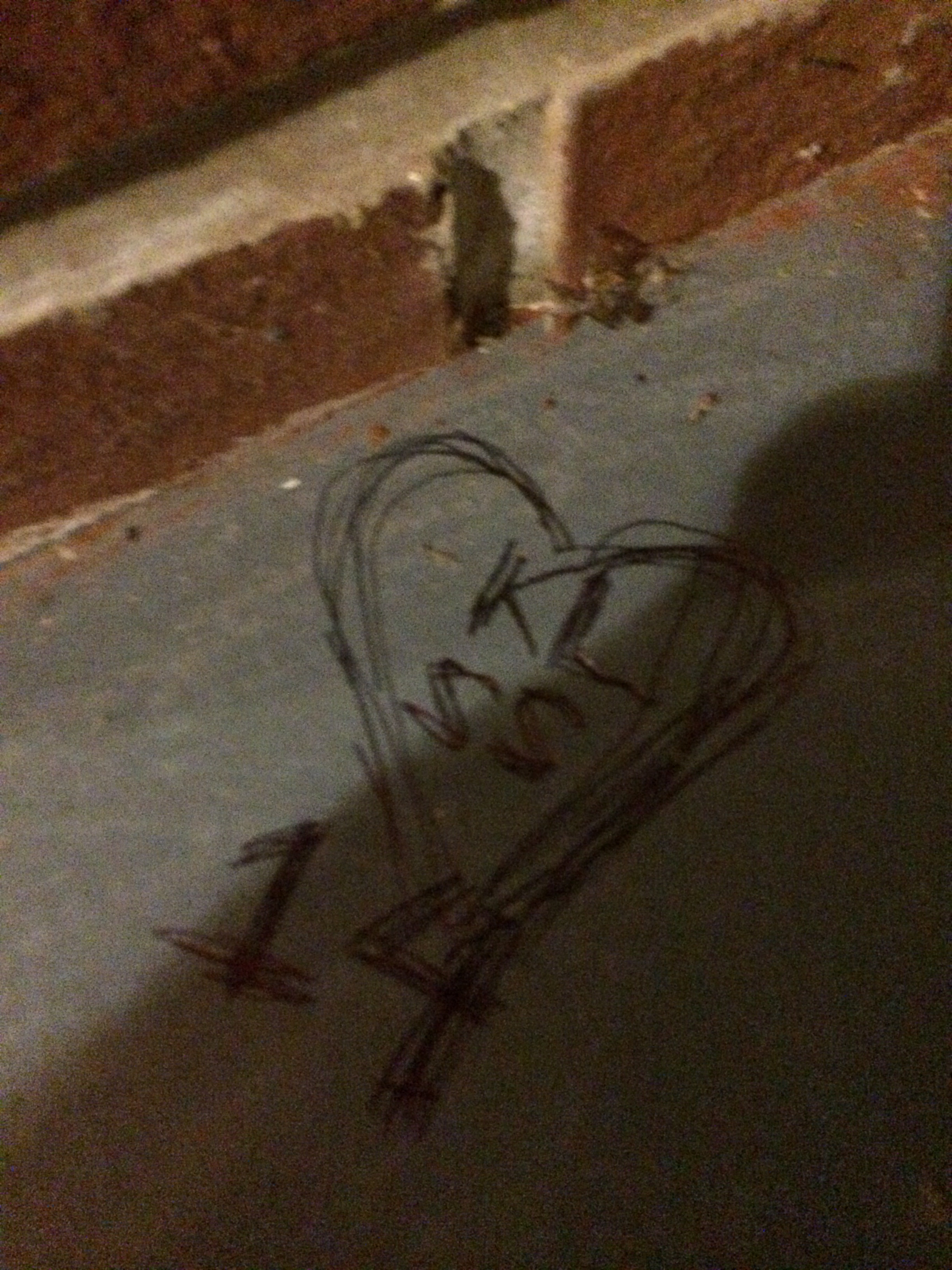 iphone 5s pictures 061514 088.JPG