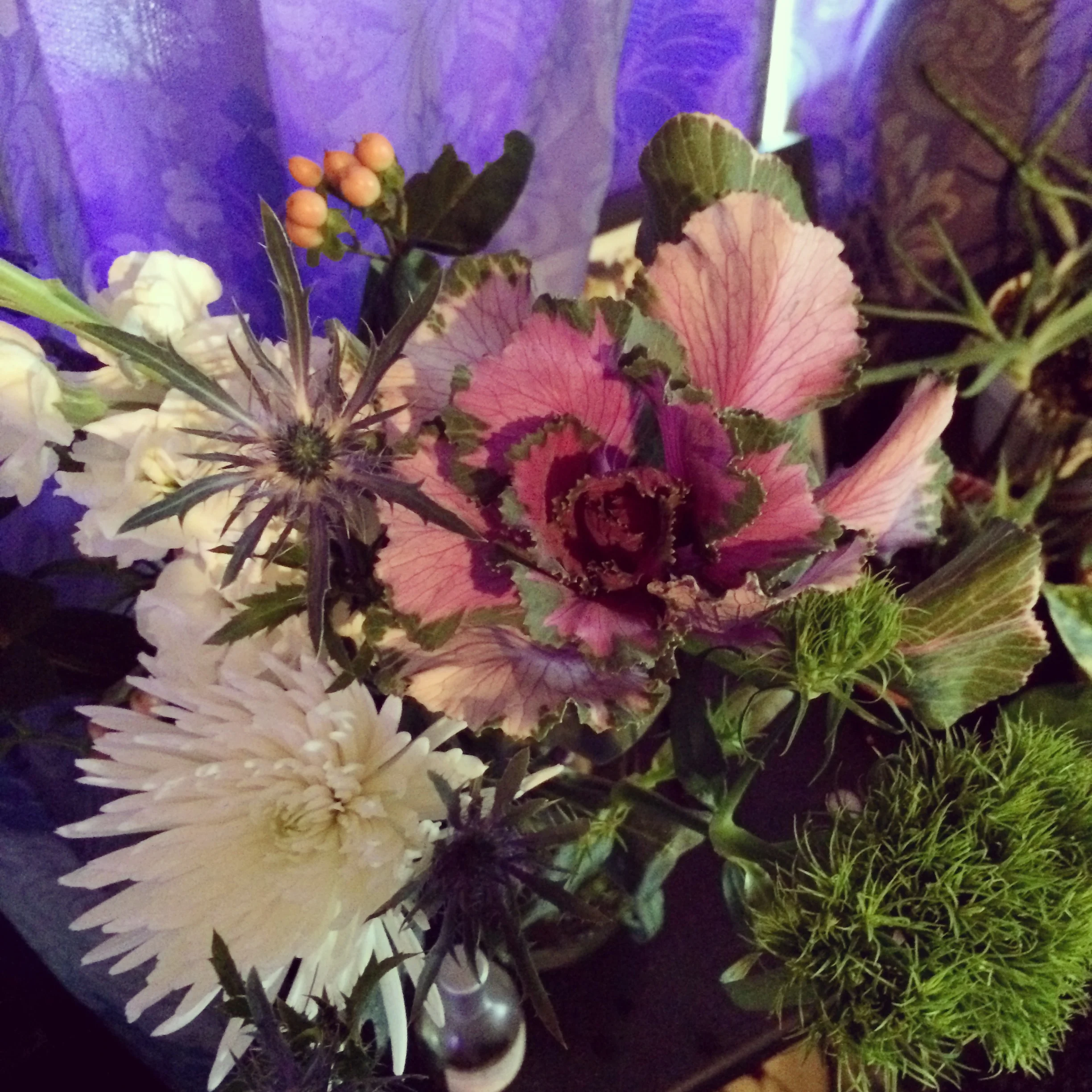 iphone 5s pictures 061514 1497.JPG