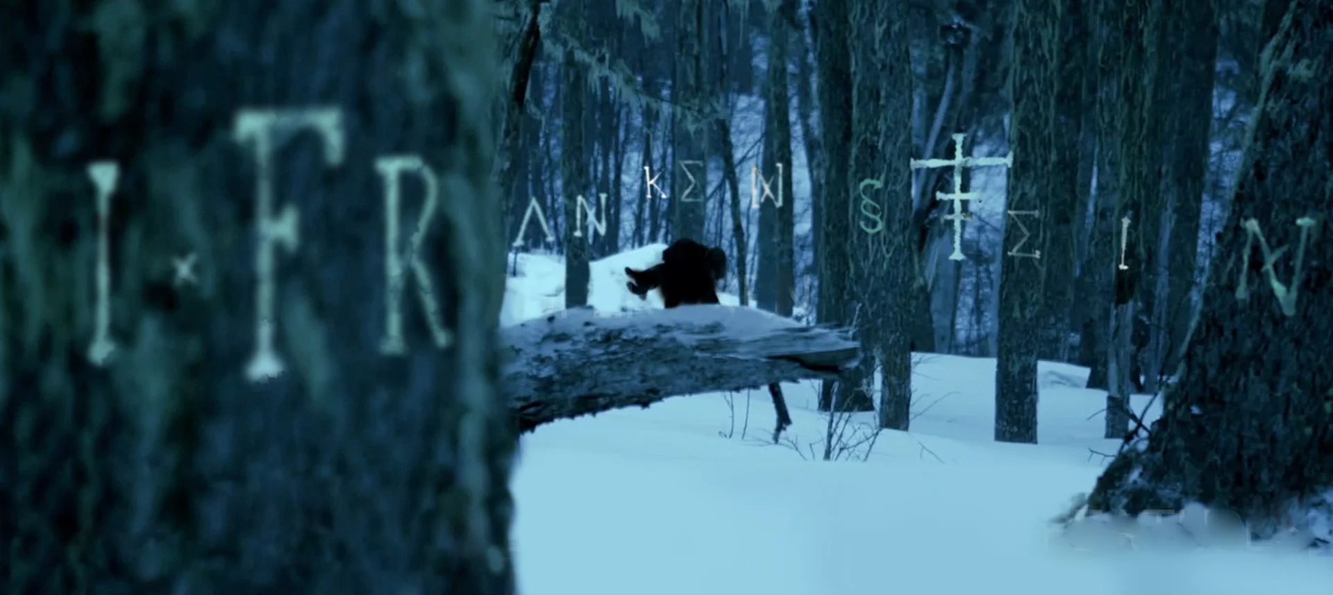 I,-FrankenStein_Heiroglyph_Snow.jpg