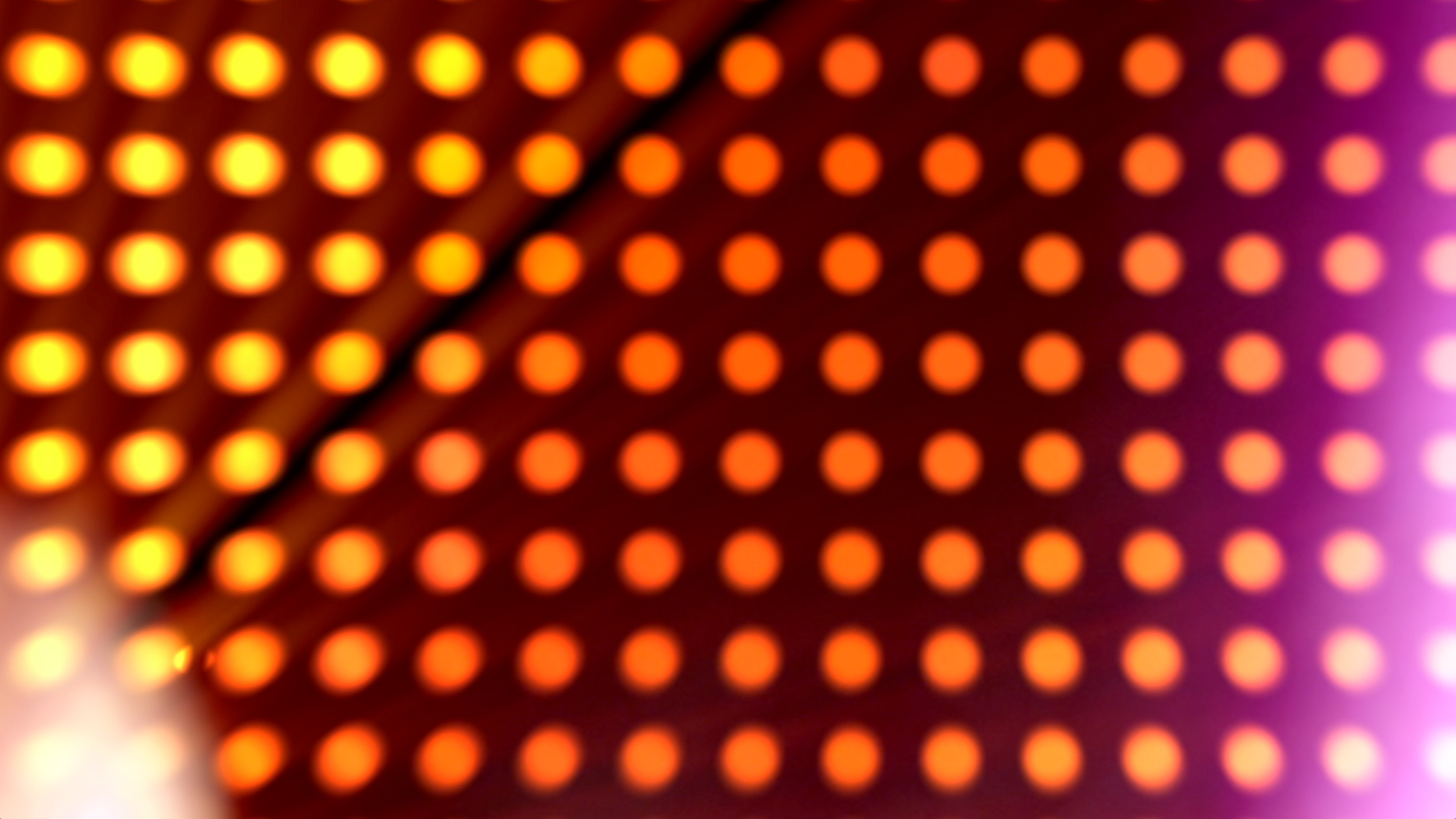 Vivid2016_20.jpg