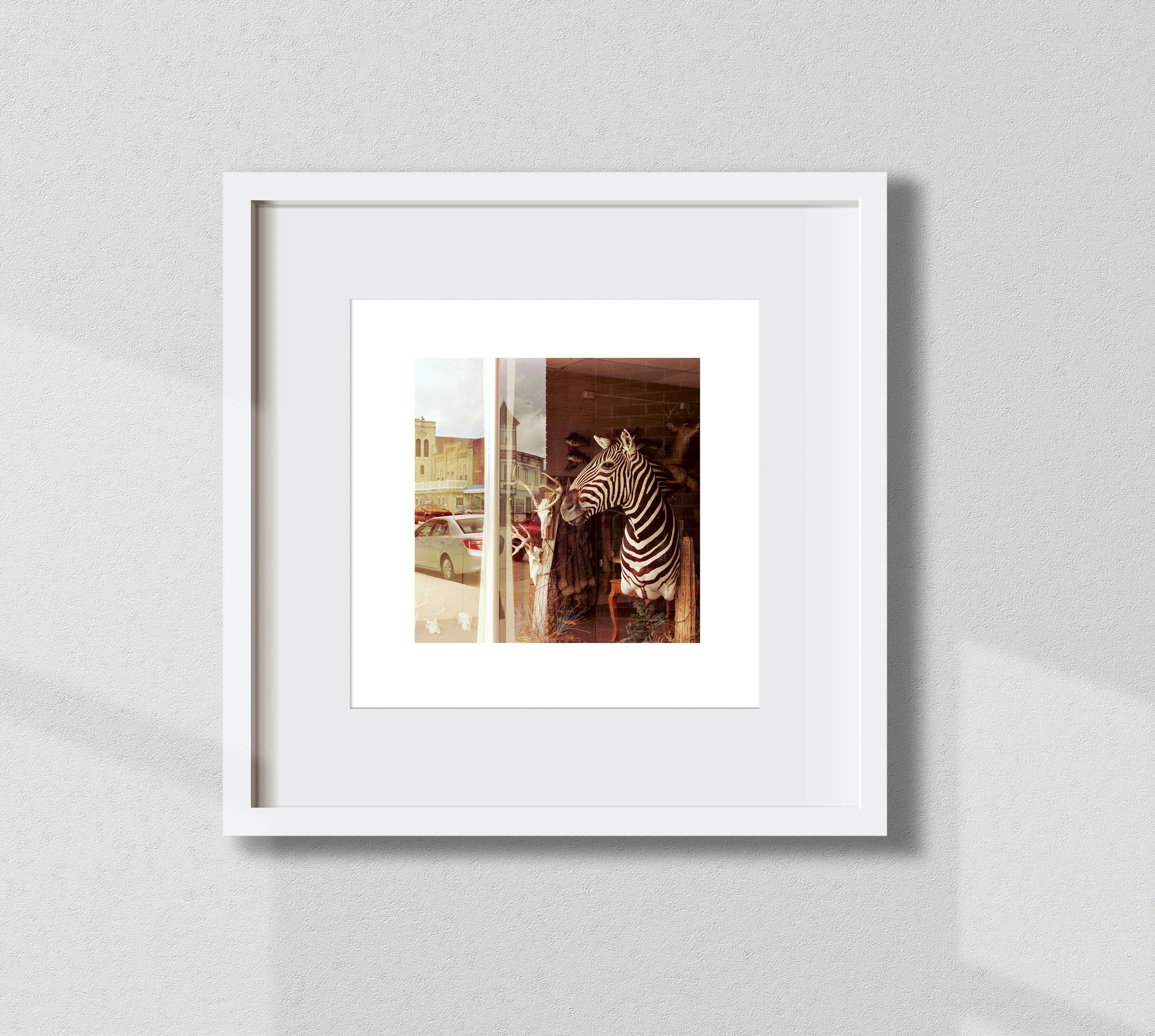WebFrame_12x12_02.jpg