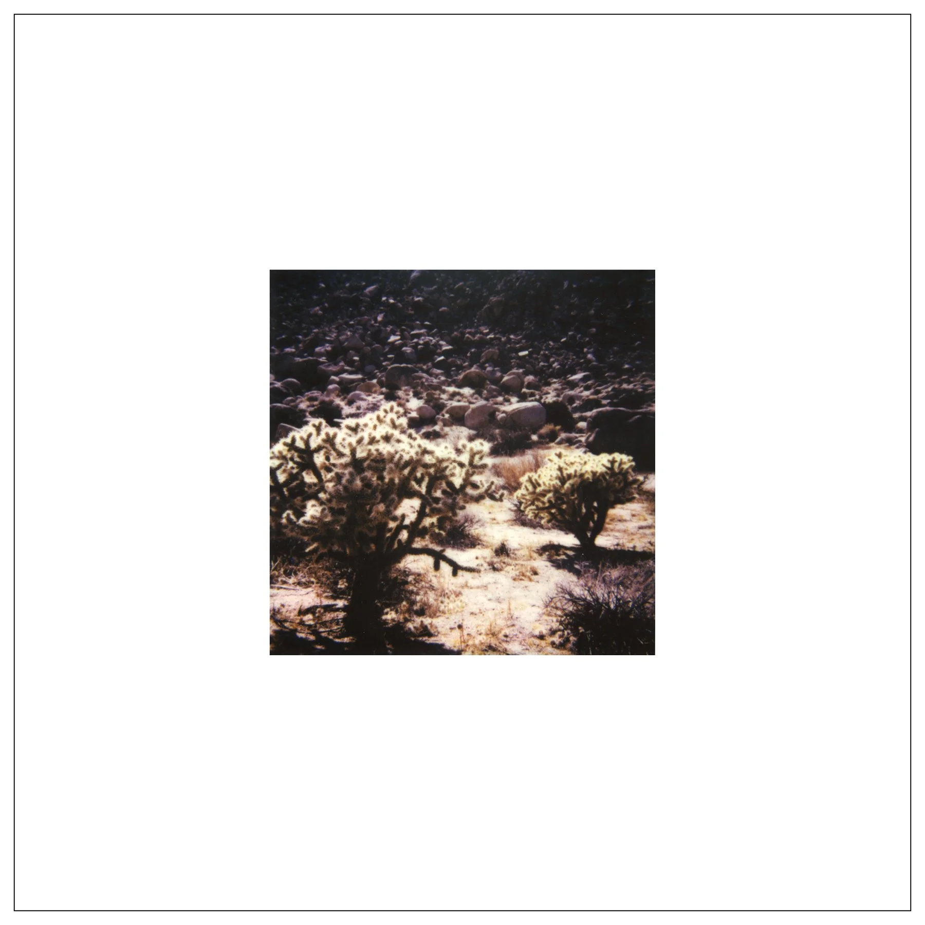WebBorder_12x12_06.jpg