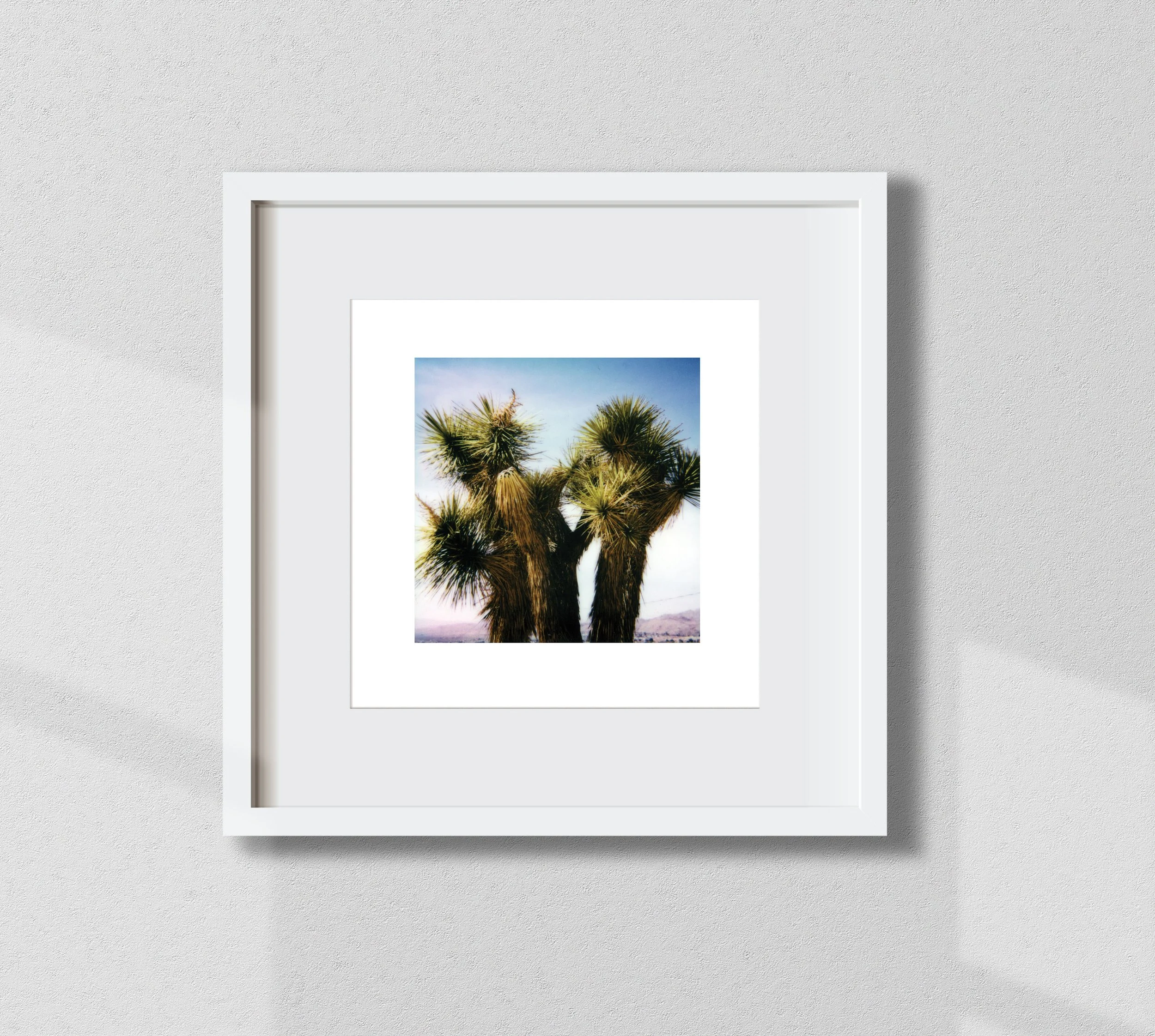WebFrame_12x12_05.jpg