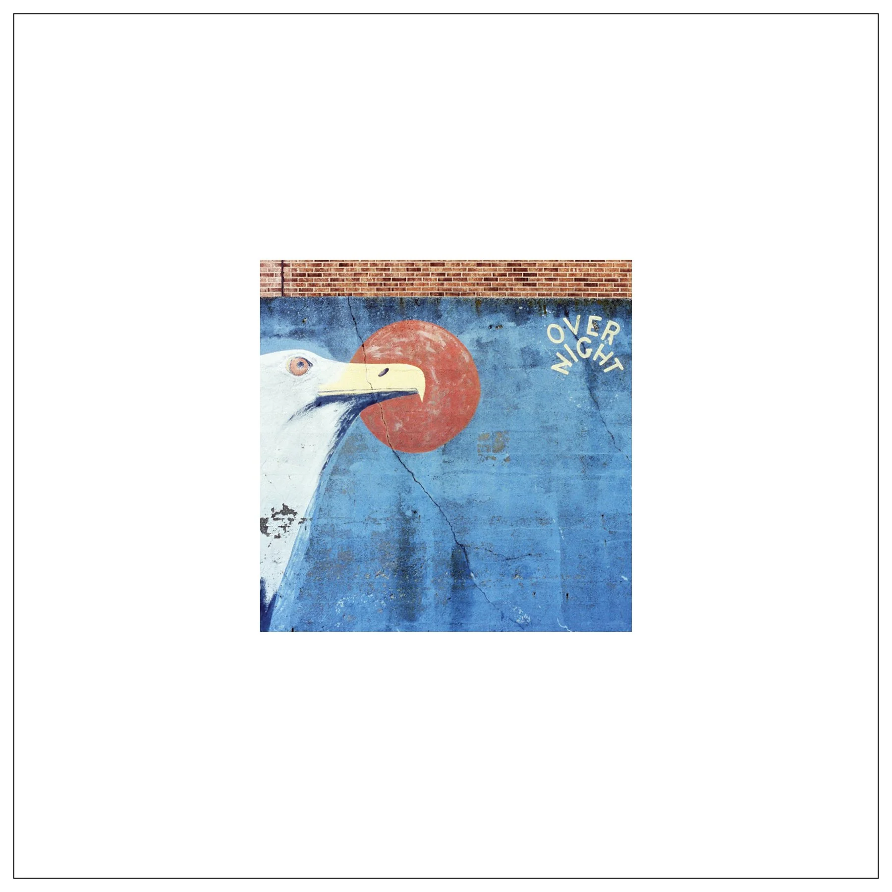 WebBorder_12x12_03.jpg