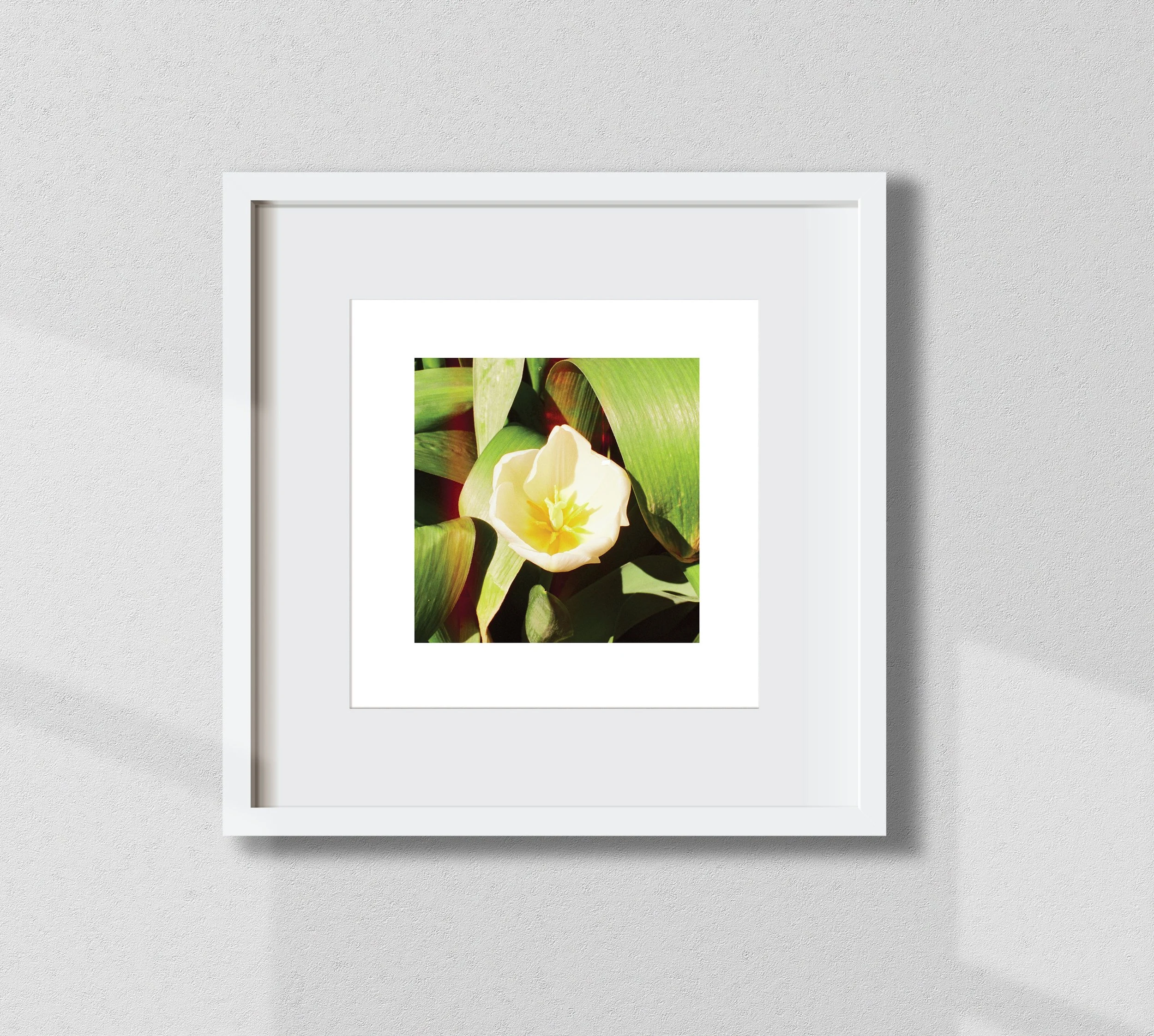 WebFrame_12x12_04.jpg