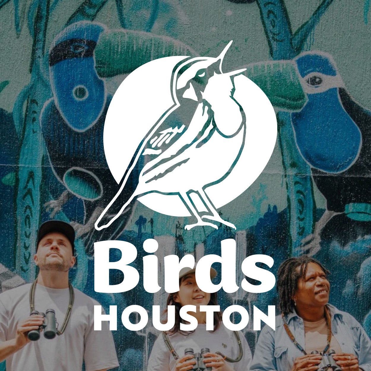 Cover_Web_BirdsHouston1112.jpg