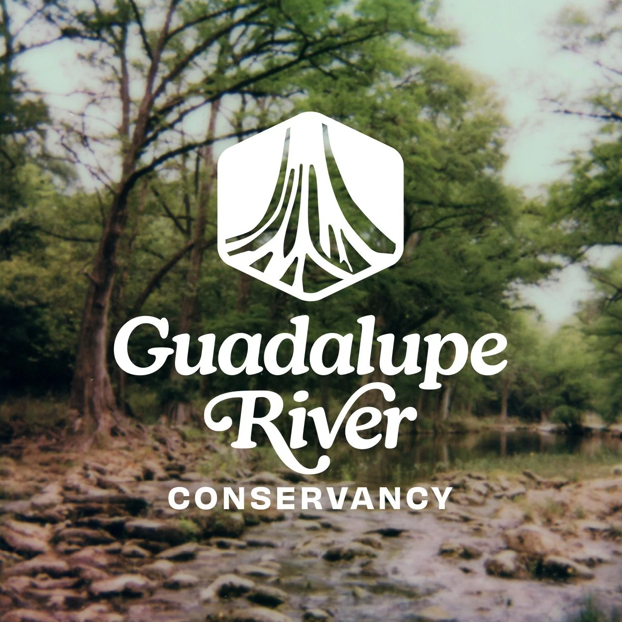 Cover_Web_Guadalupe10.jpg