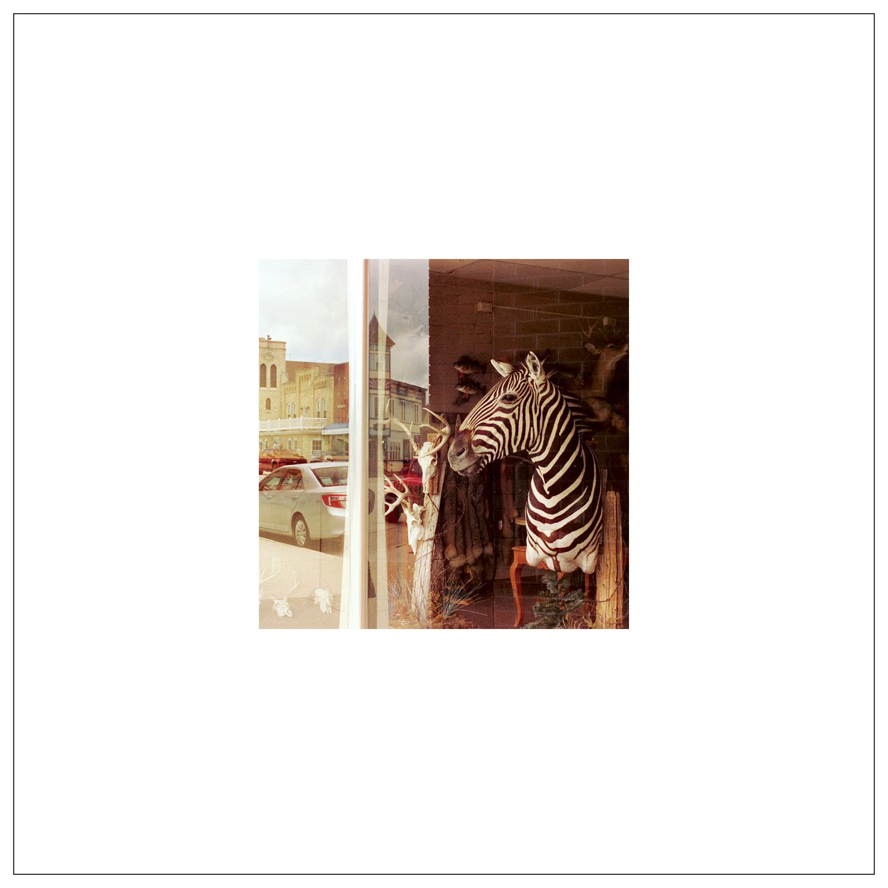 WebBorder_12x12_02.jpg