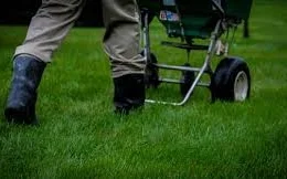 lawn fertilization.jpg