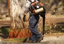 spring-fall-clean-up.jpg