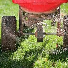 lawn-overseed-fishers.jpg