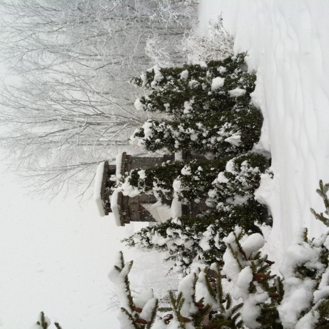 Prepare for Snowfall and Simplify Snow Removal