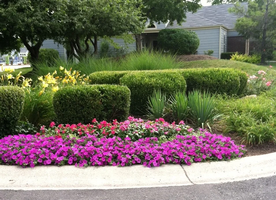 Neighborhood Association Indianapolis 2.JPG