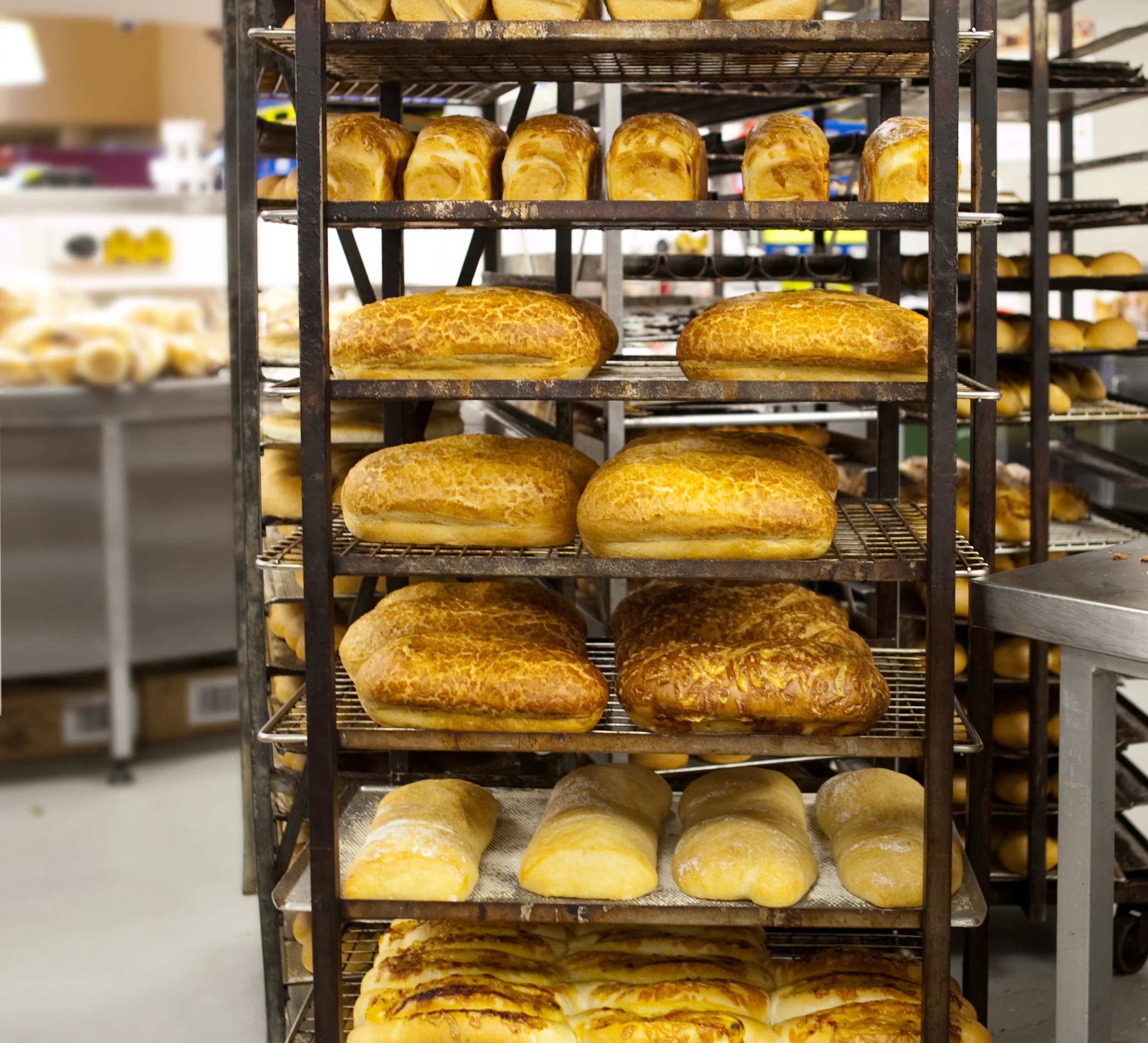 Learn From Your Experiences