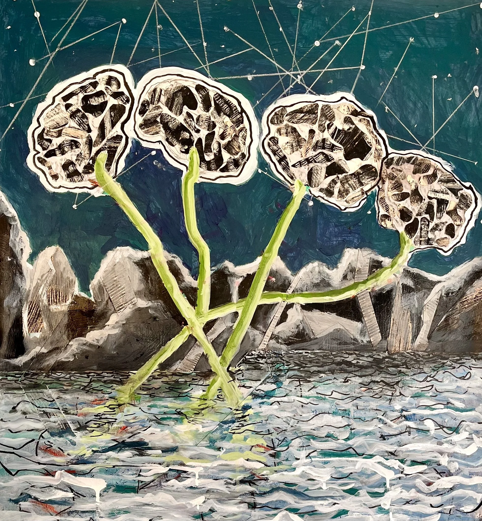  Claustrum Variation VII  26 1/2” X 28 1/2”  Mixed media  2026 