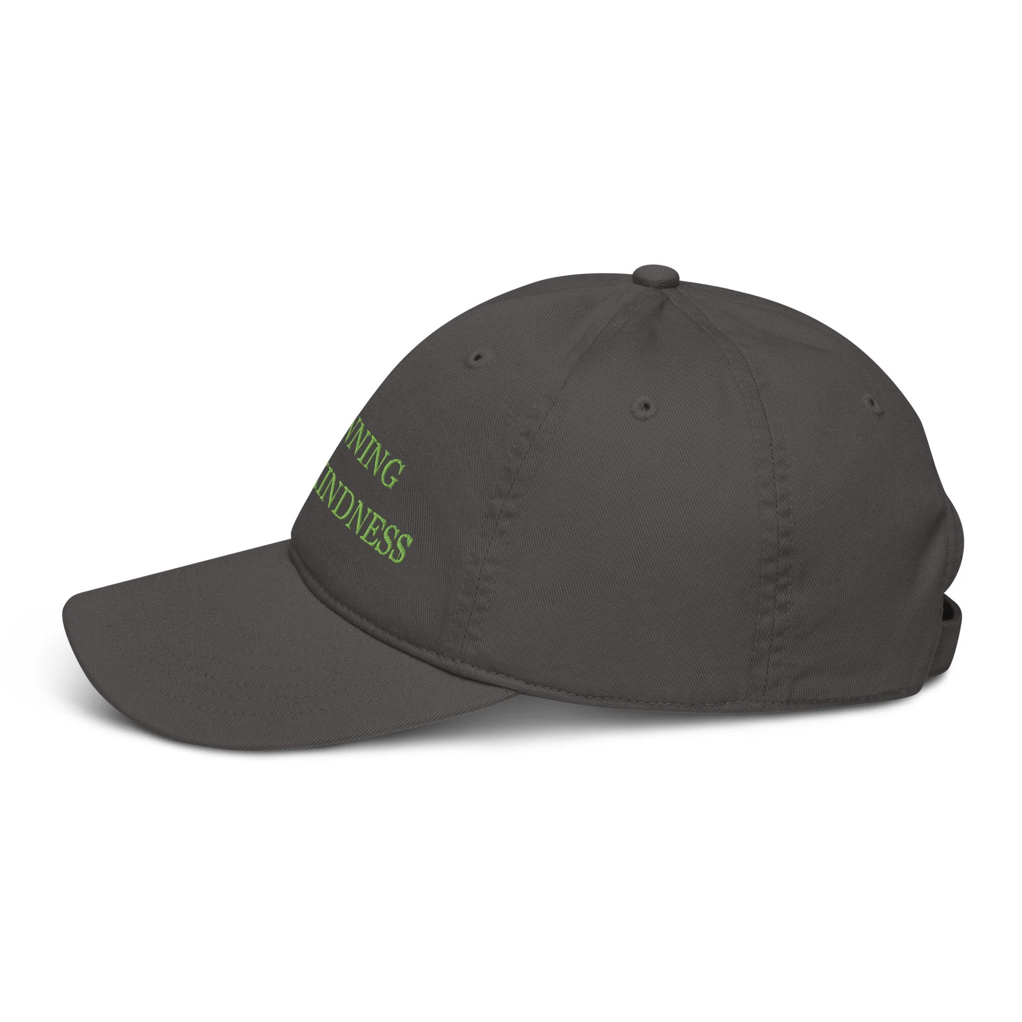 organic-baseball-cap-charcoal-left-68094e7139d06.jpg