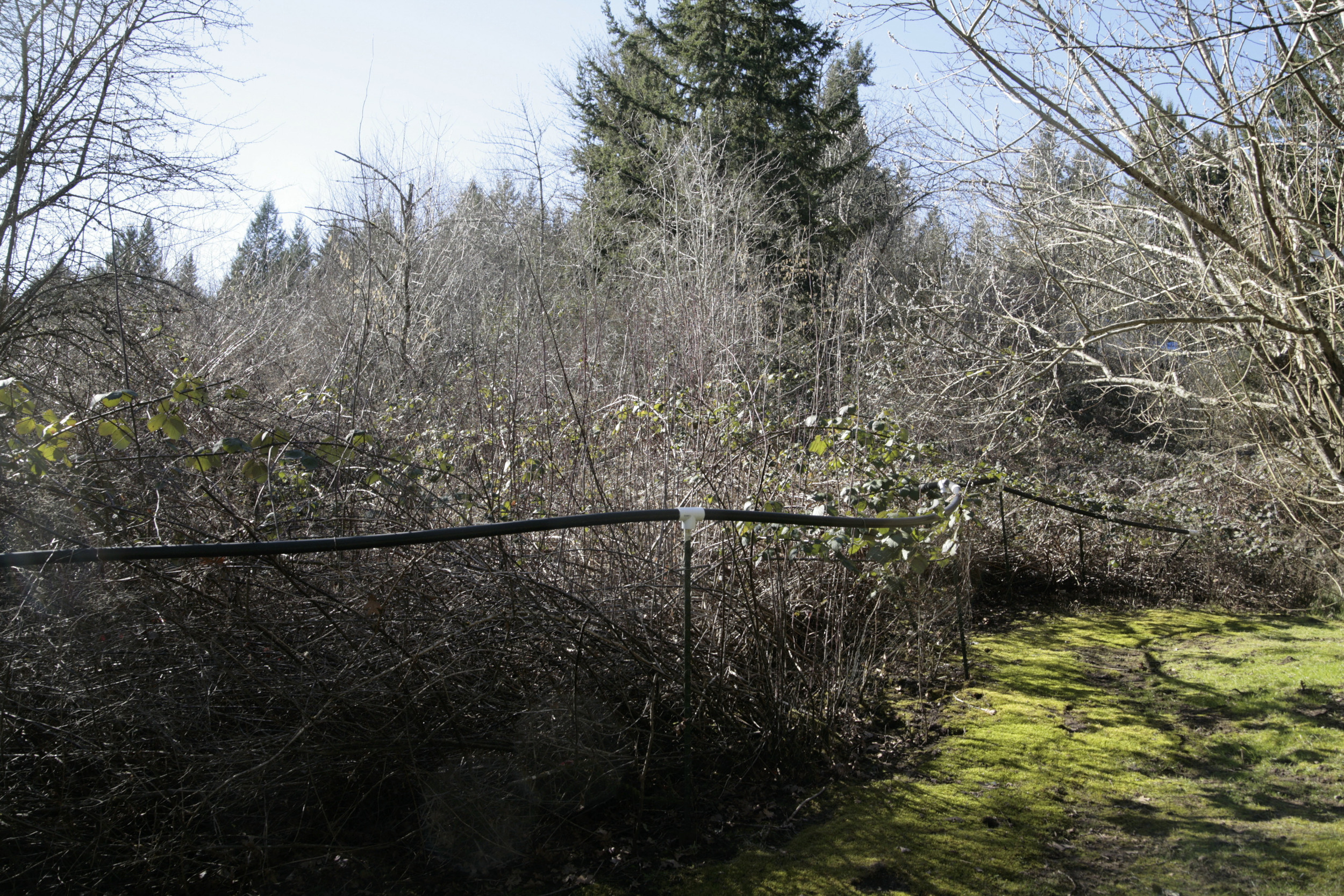 _MG_7067.jpg