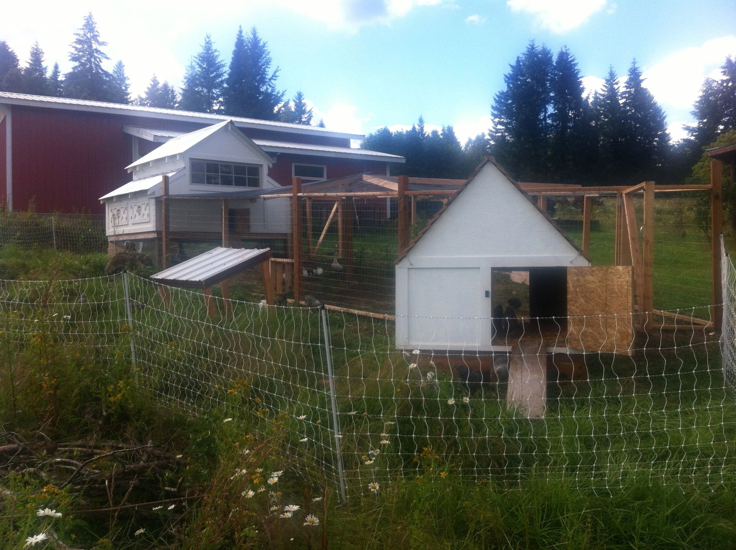 ChickenDuckHouse.jpg