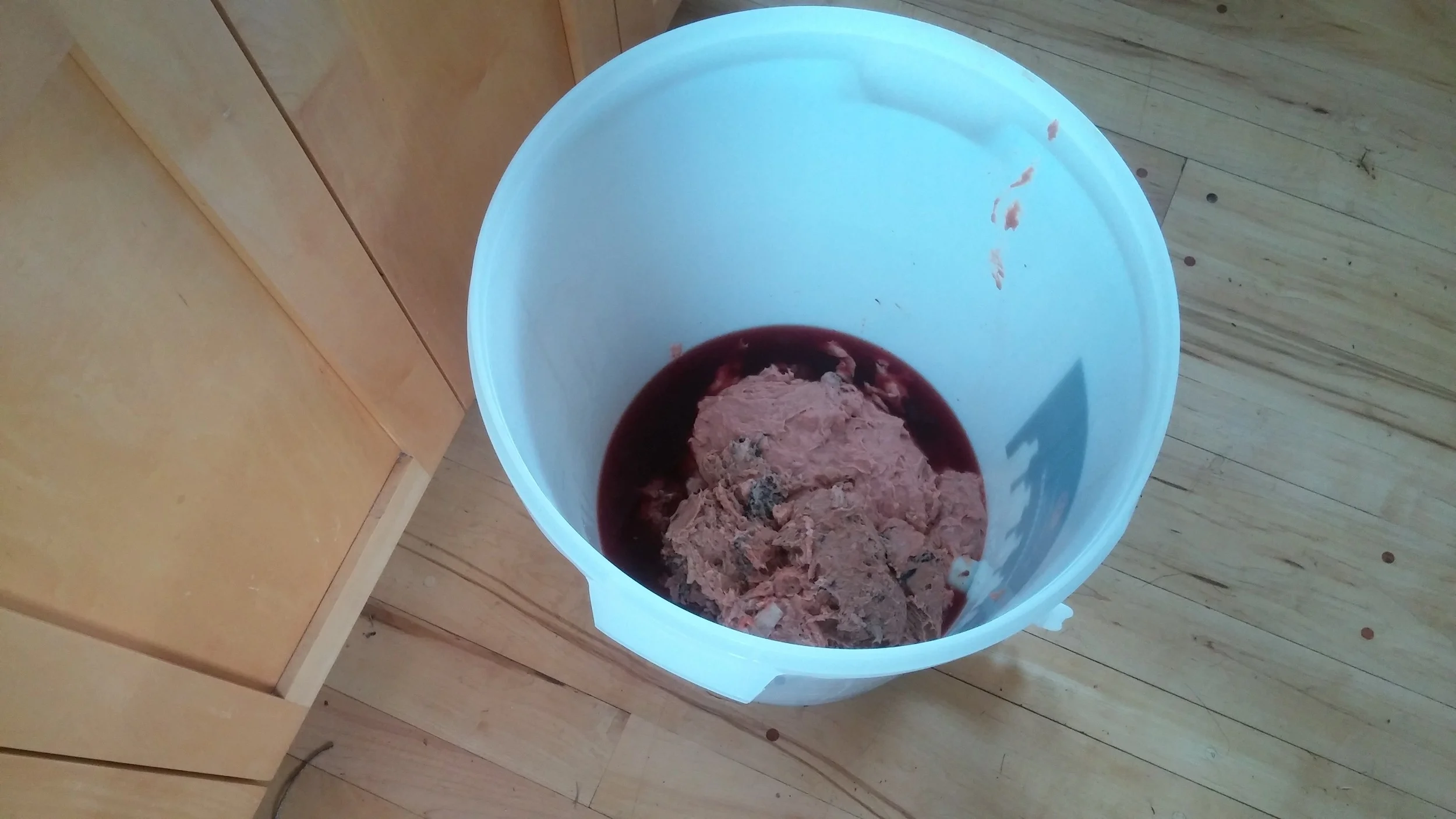 Homemade Fish Hydrolysate (Liquid Fish) — Out of Ashes