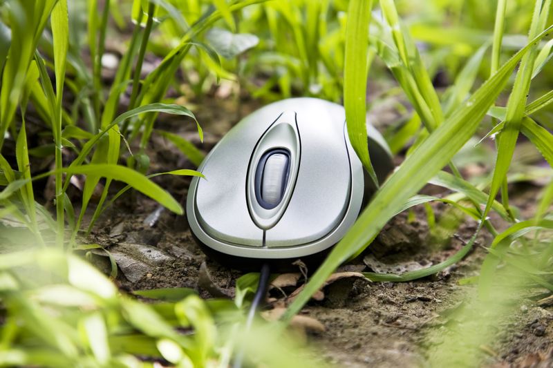 mouse on grass_s_9236861.jpg