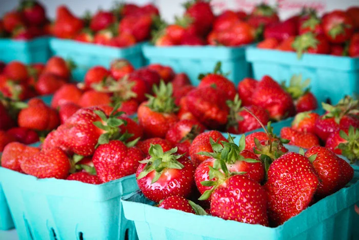 SWANTON BERRY FARM, the first Organic Strawberry Farm in California