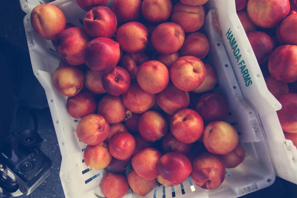 THE SAN FRANCISCO FERRY BUILDING