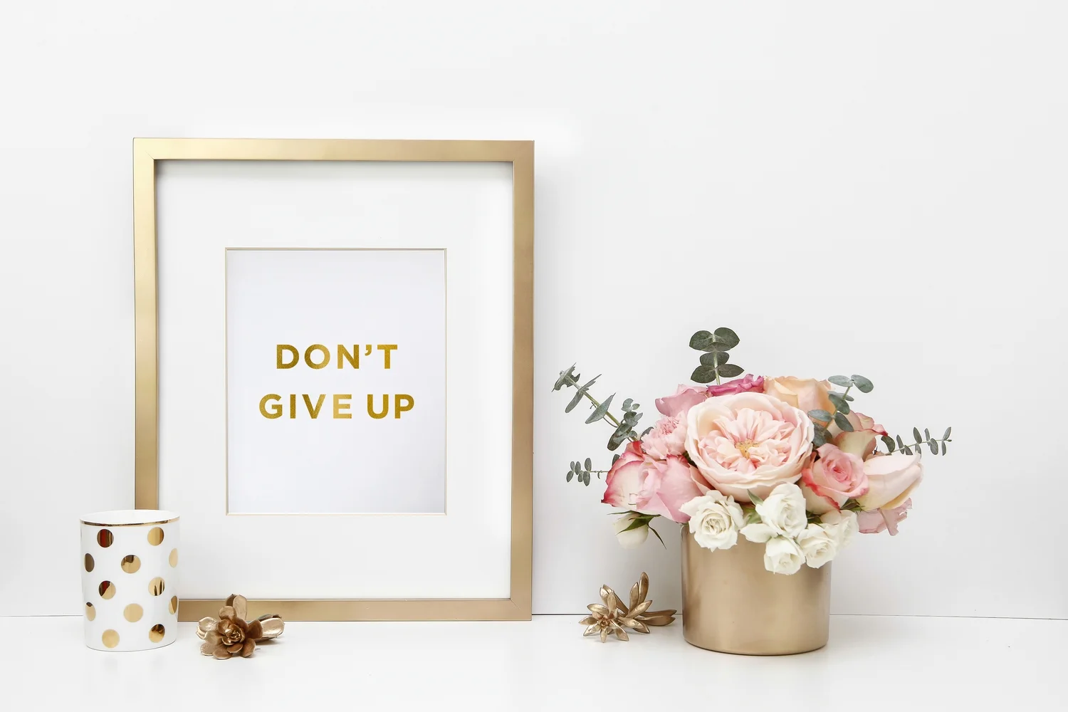 EST. SPOTLIGHT: SCARLET &amp; GOLD