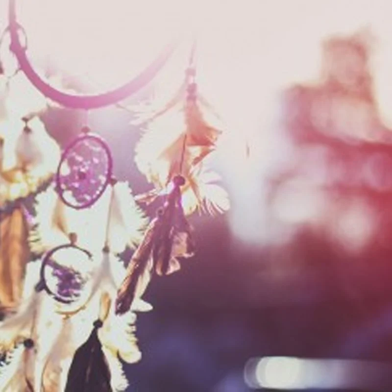 Established California: The Golden State of Mind