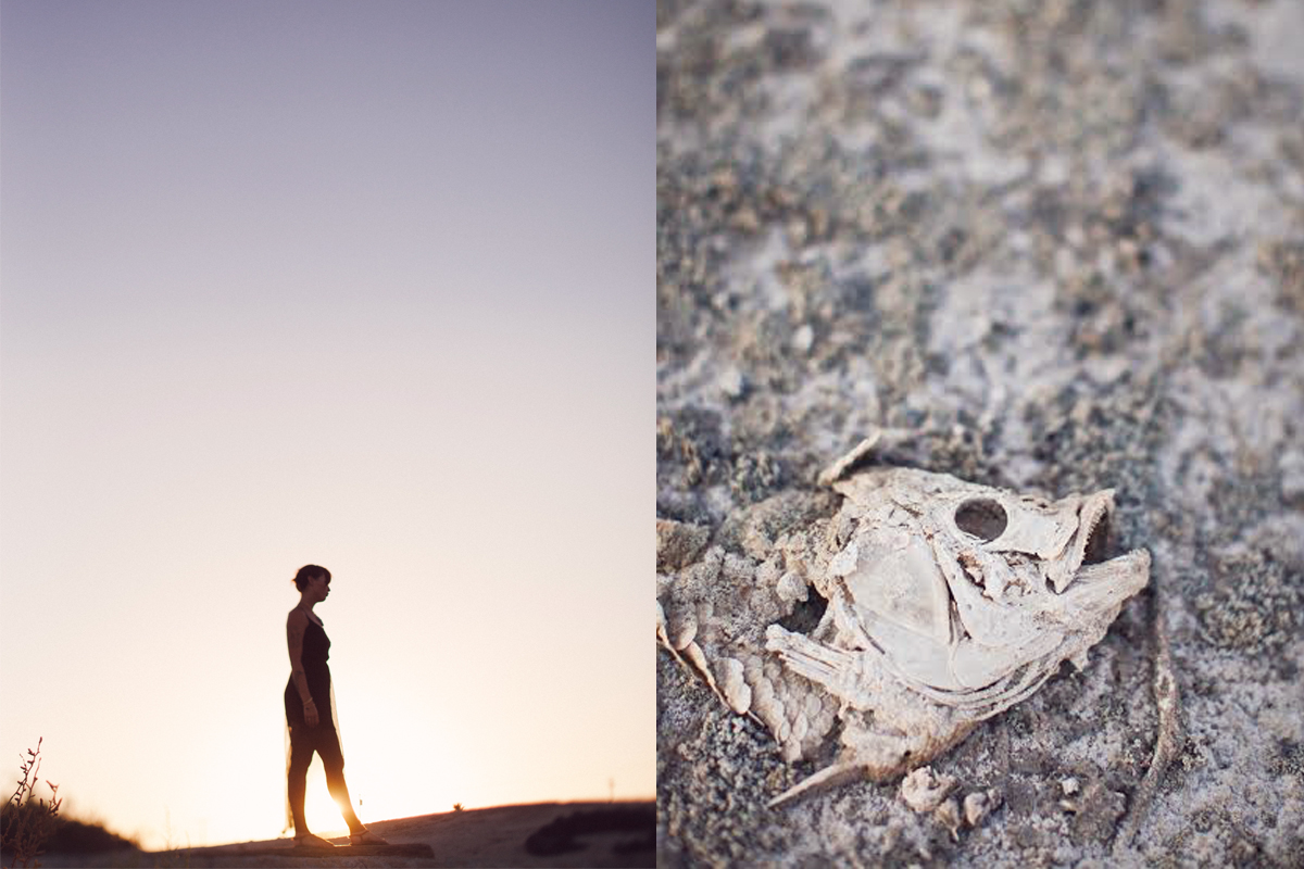 Established California | Adventures | Salton Sea | Stroll