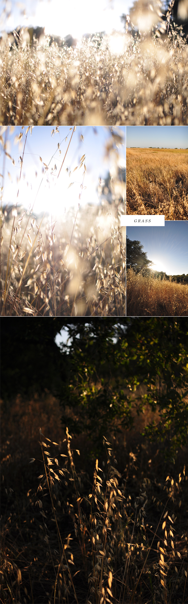 Images via Dearest Nature