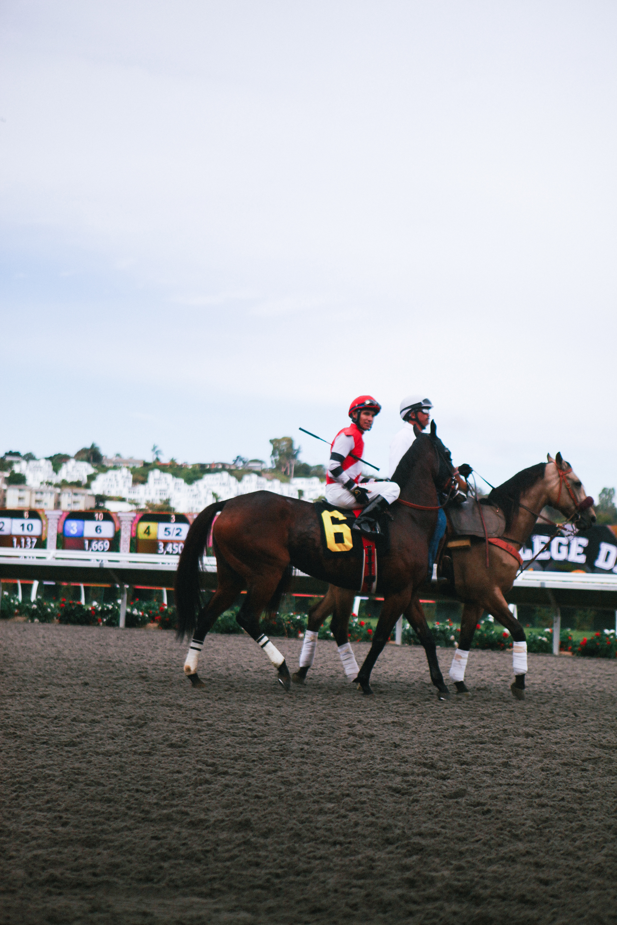 Established California | Things to Do | Del Mar Racetrack