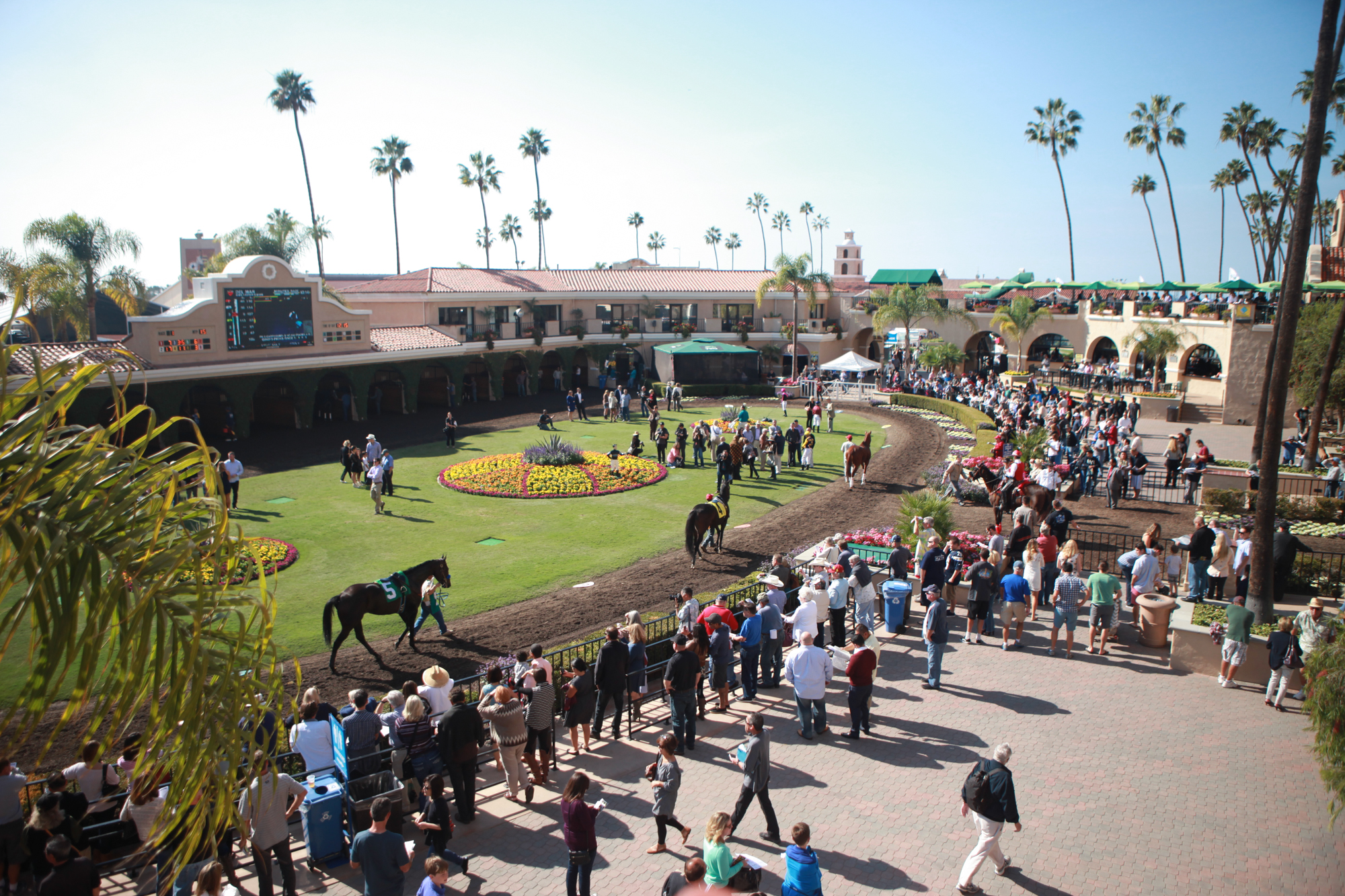 Established California | Things to Do | Del Mar Racetrack