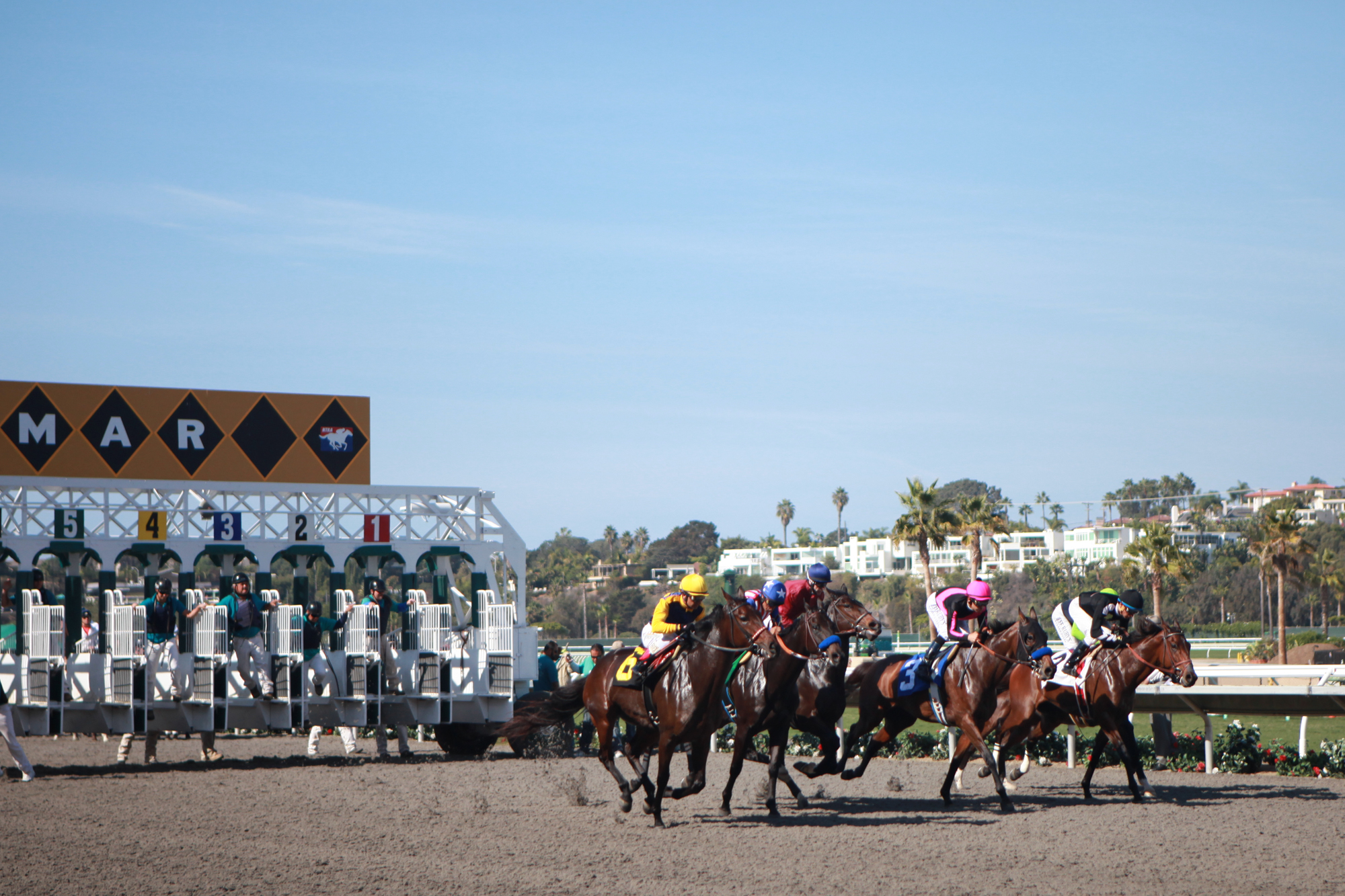 Established California | Things to Do | Del Mar Racetrack