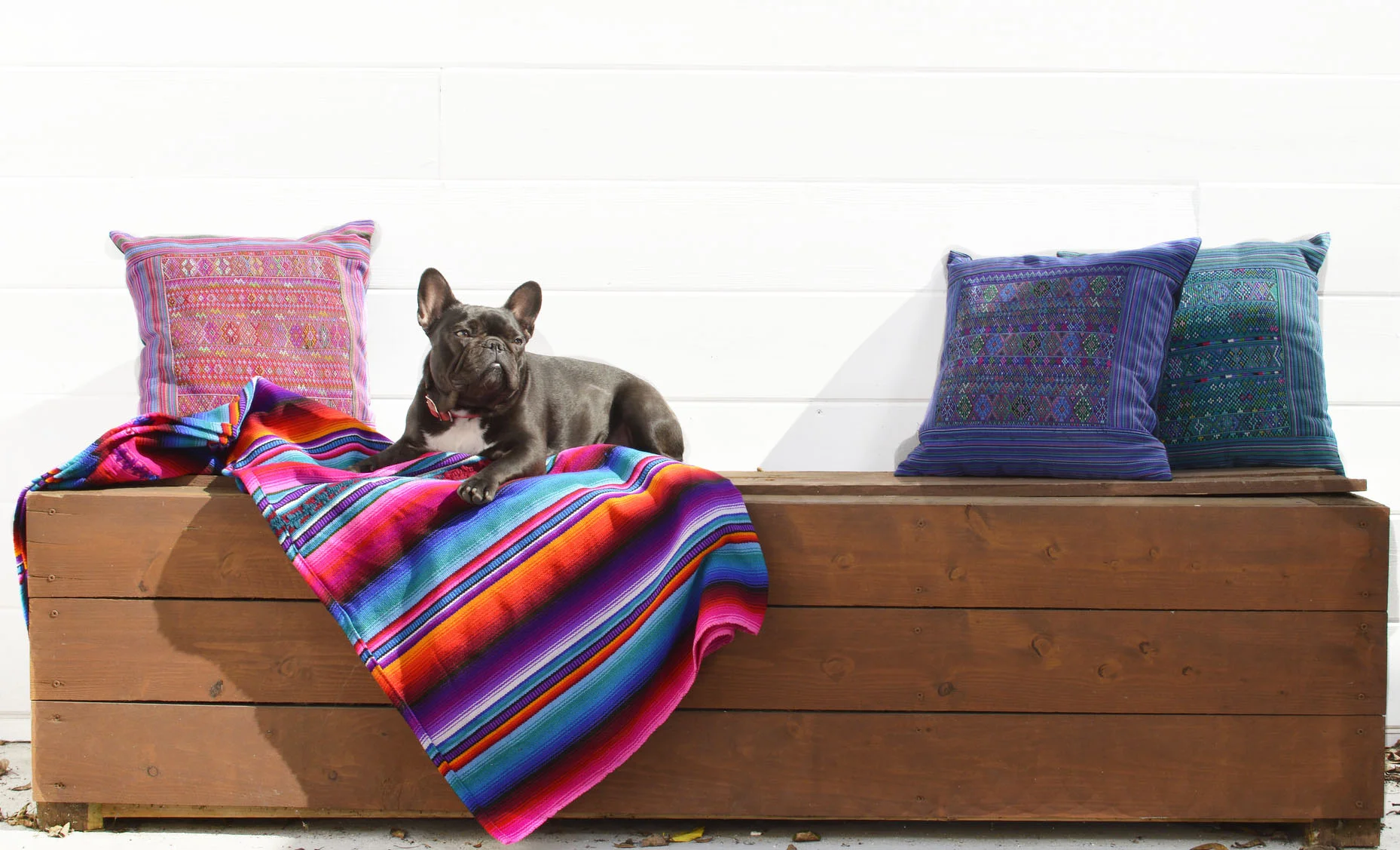 EST. SPOTLIGHT: LOCAL + LEJOS