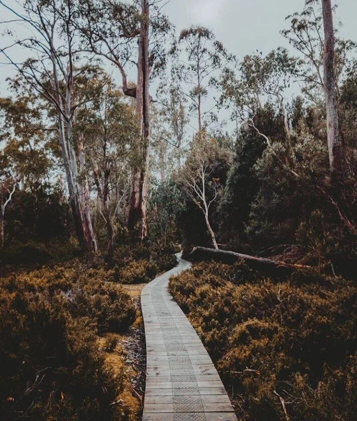 TASMANIA: One of Australia's Best Kept Secrets