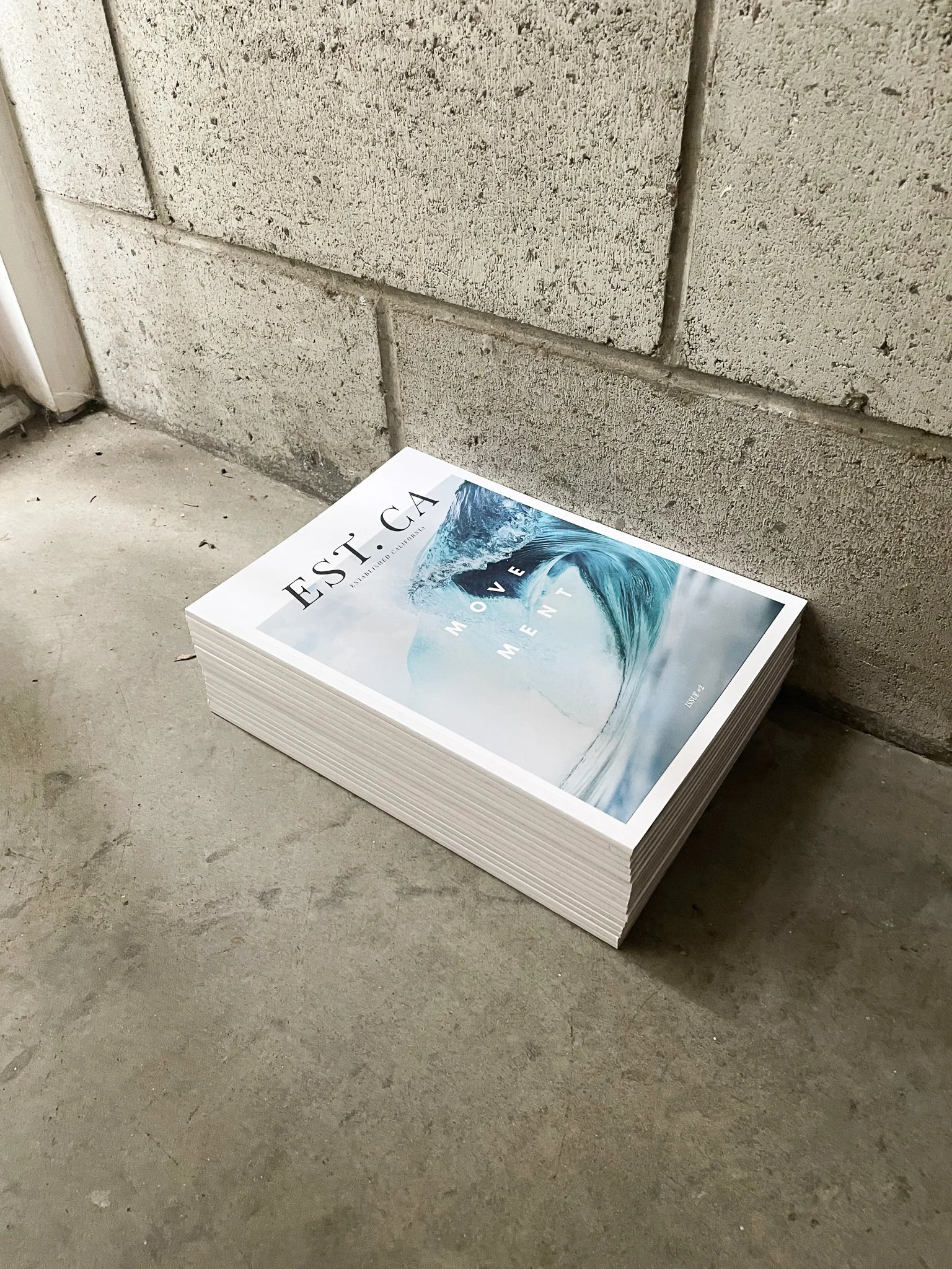 Established California Magazine is a California-inspired publication. Issue Two is themed around "Movement".
