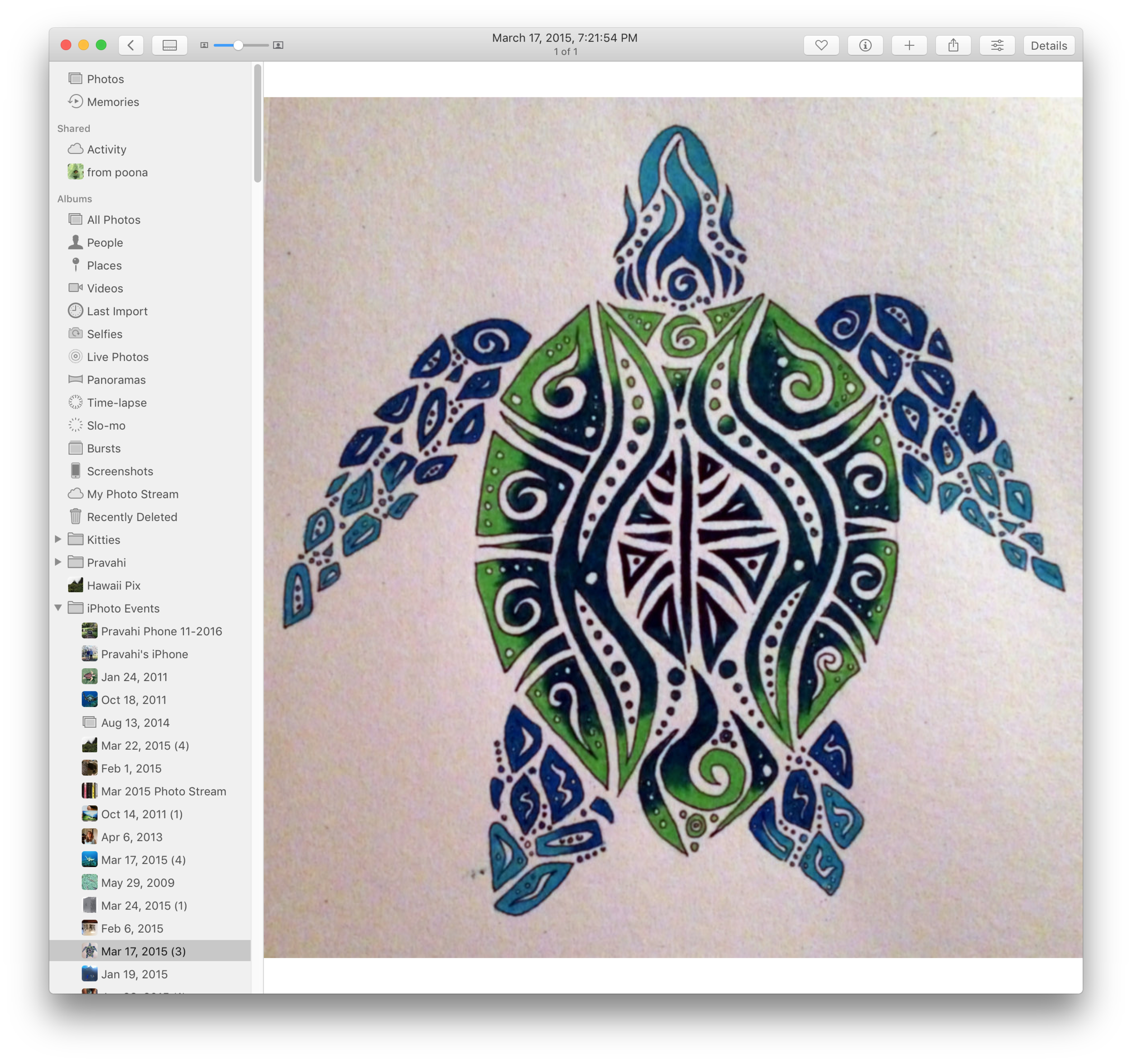 turtle.png