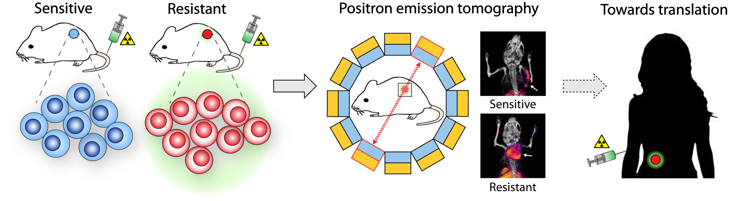 Strategy for the noninvasive detection of tumour resistance to therapy using radionuclide imaging. Figure adapted from Nguyen, Q.D. & Aboagye, E.O. Integr Biol 2:483-95