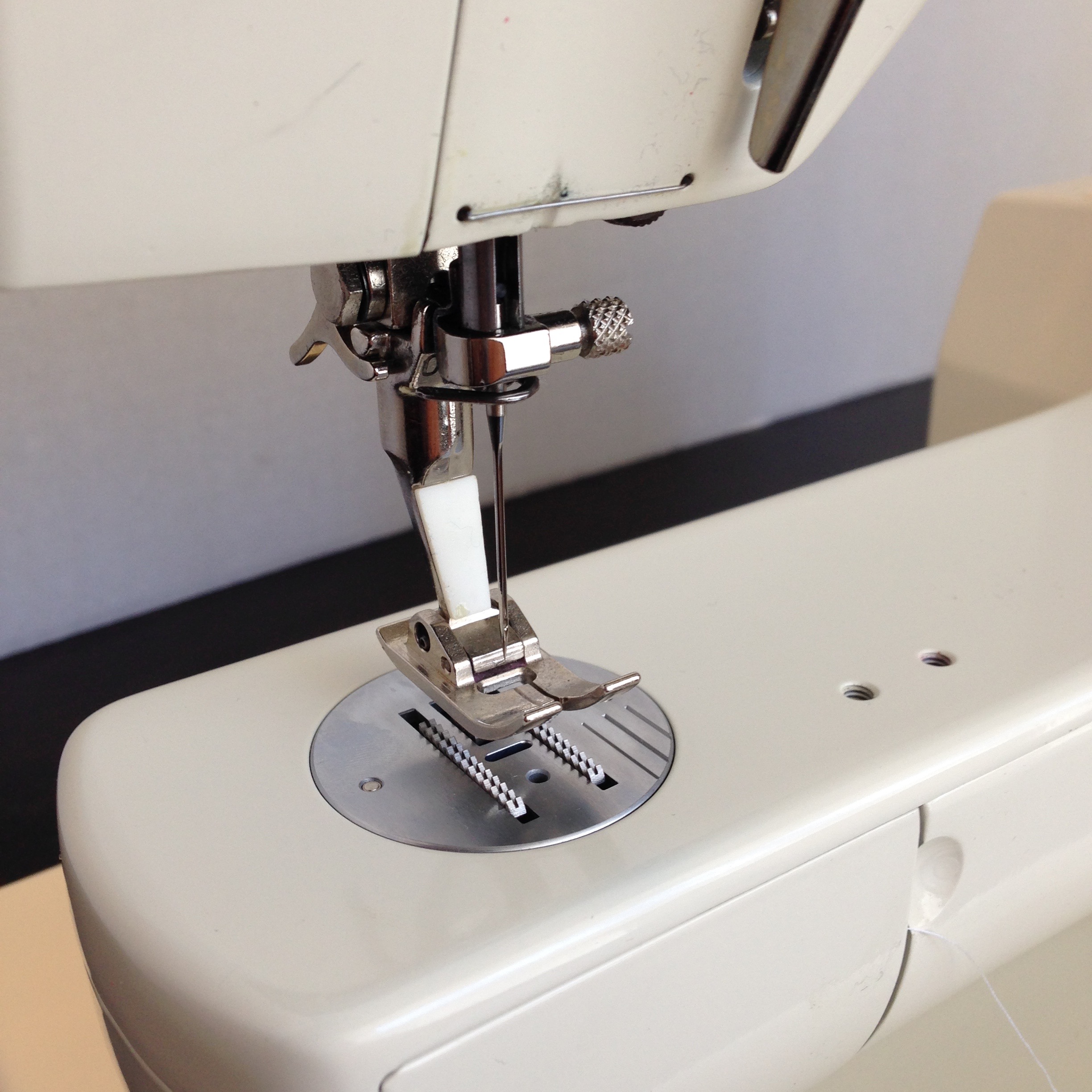 Bernina 830 Record Review — Ashley and the Noisemakers