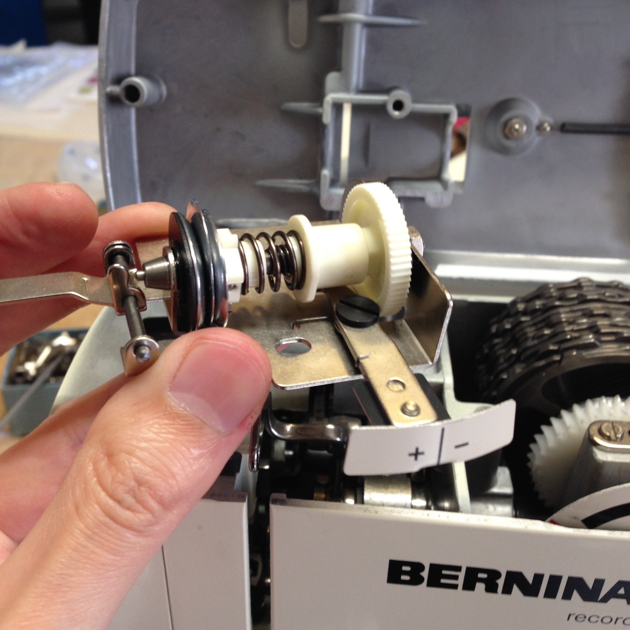 Bernina 830 Record Review — Ashley and the Noisemakers