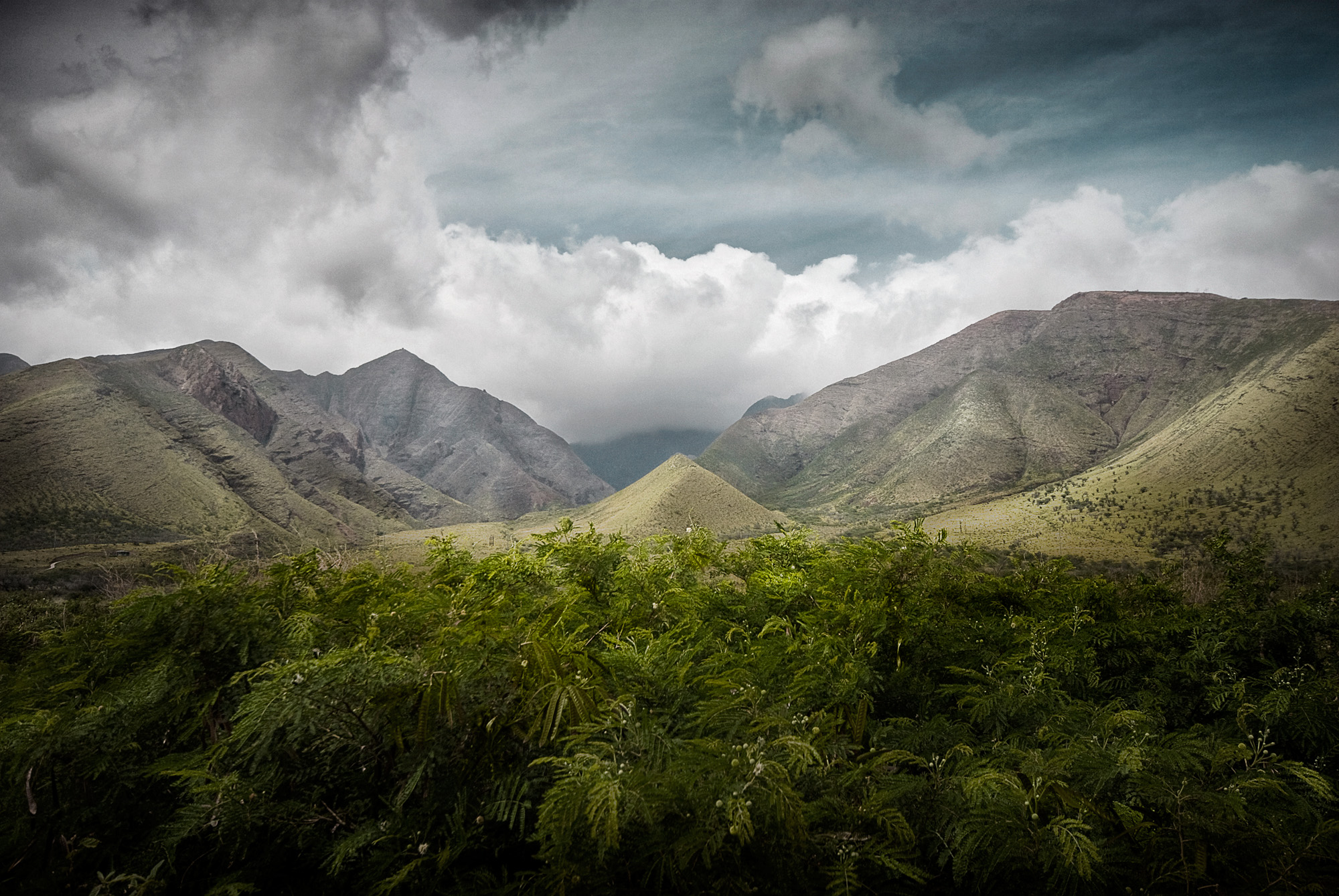 MAUI XII