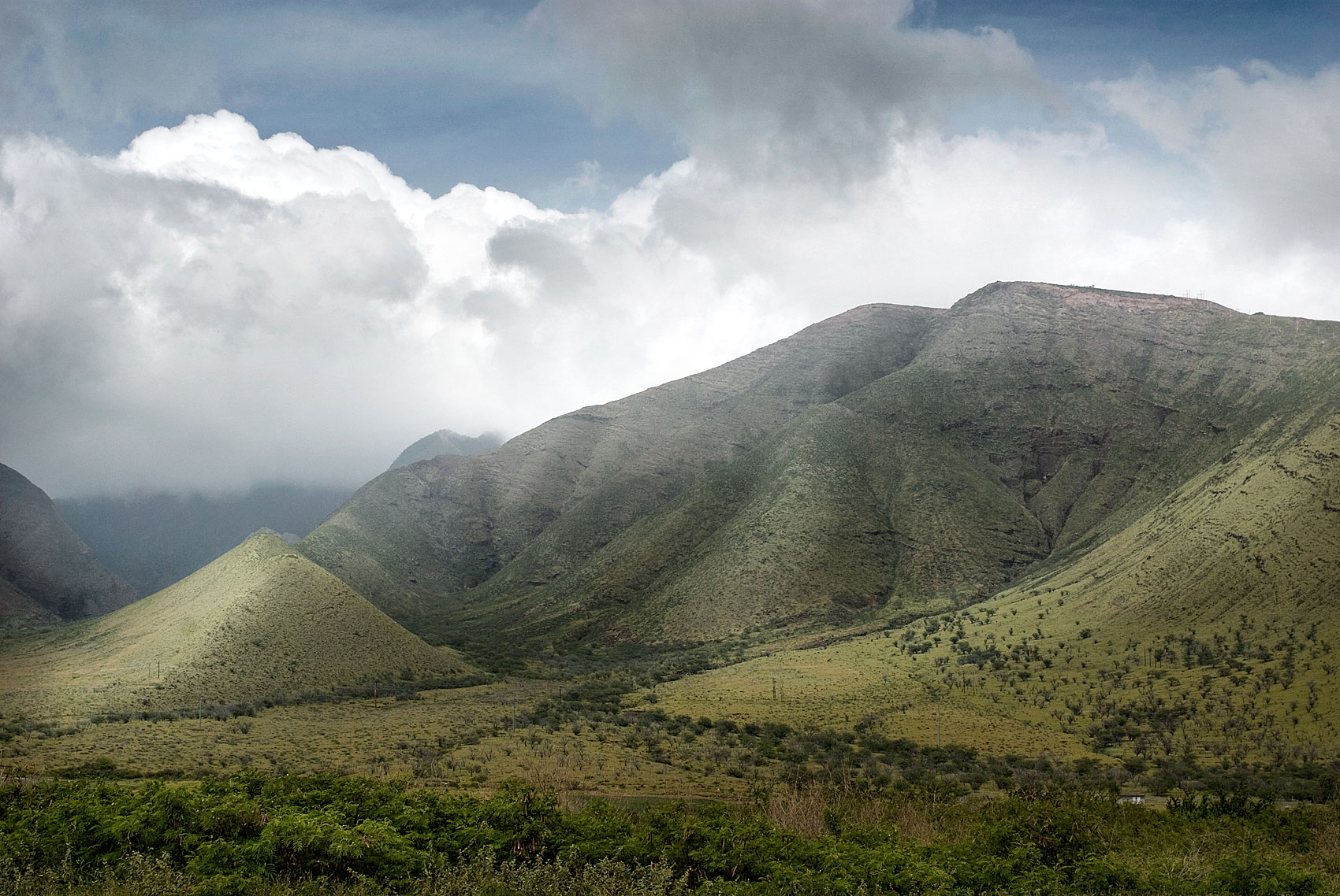 ART OF LANDSCAPES