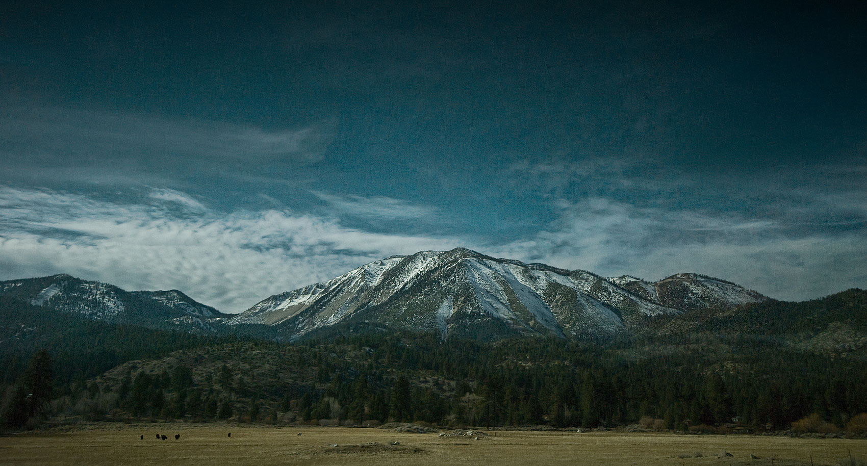 ART OF LANDSCAPES