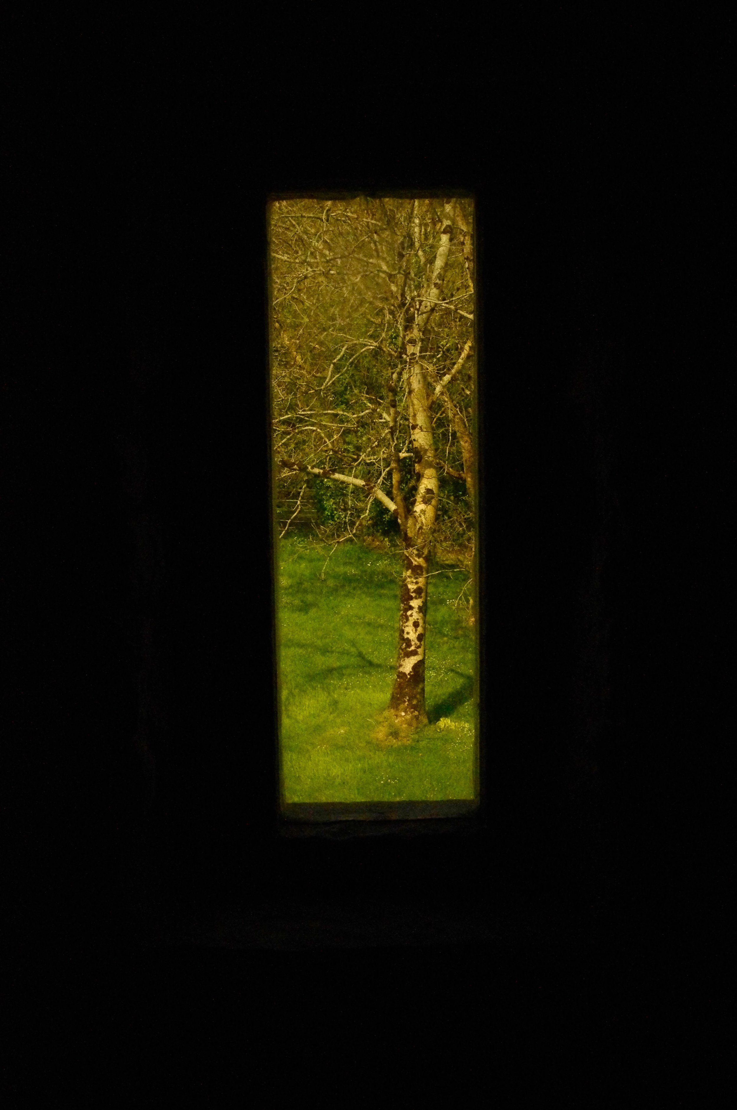 looking from the second floor of the tower