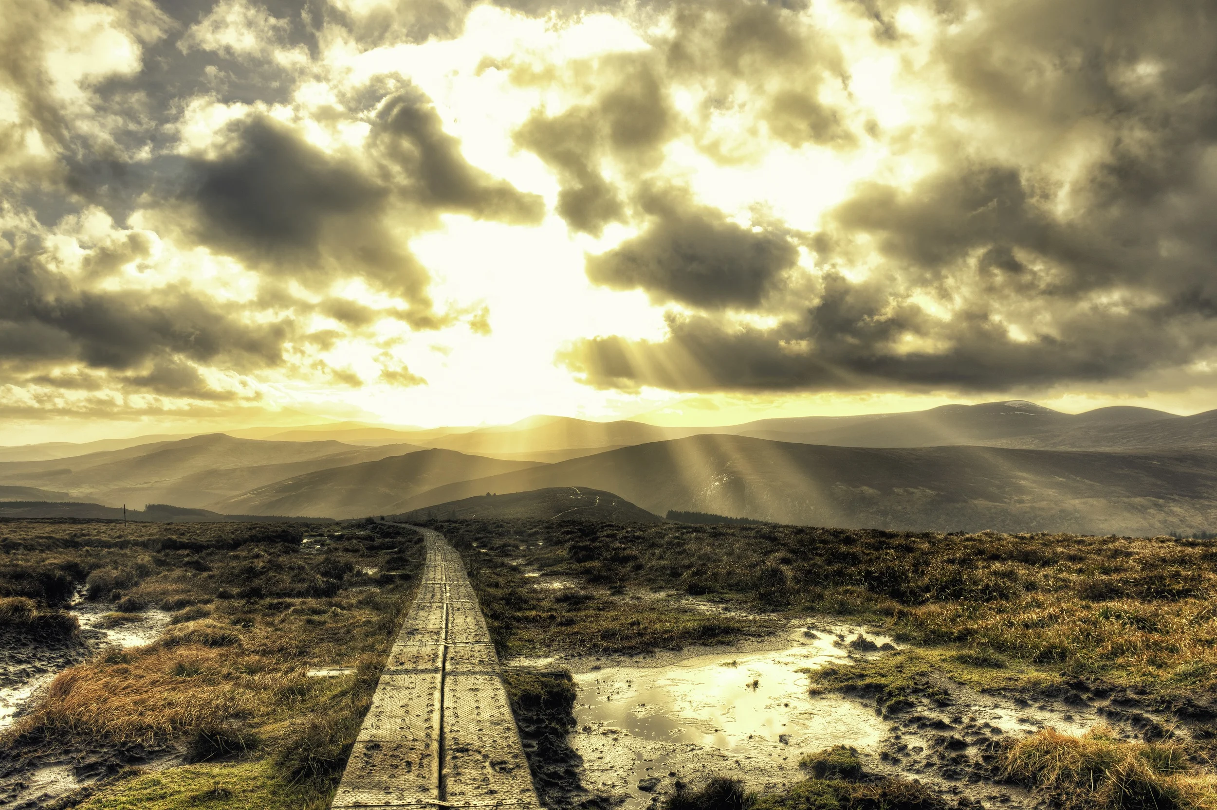Walk of Life